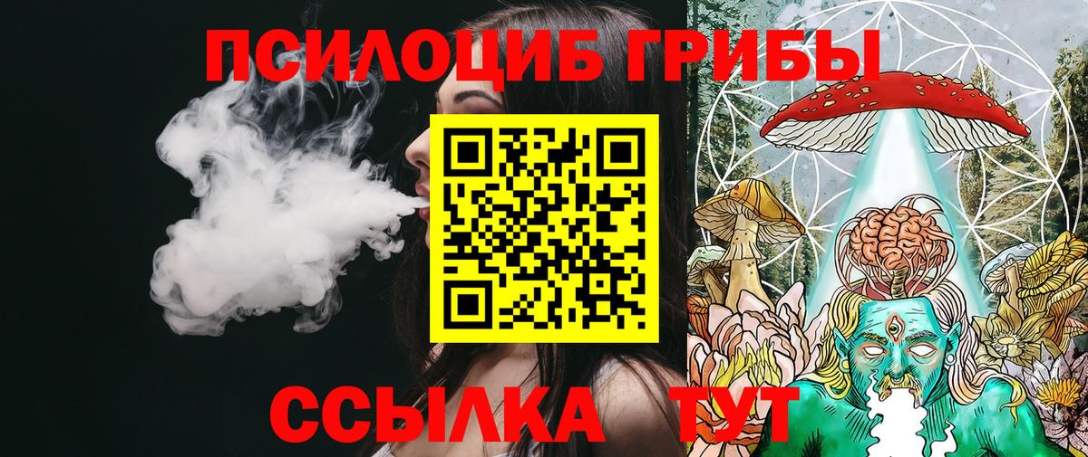 Псилоцибиновые грибы Psilocybine cubensis  Вход с VPN  купить наркотик  Грязи 