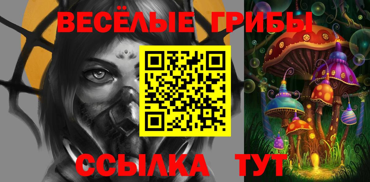 Псилоцибиновые грибы Psilocybe Грязи